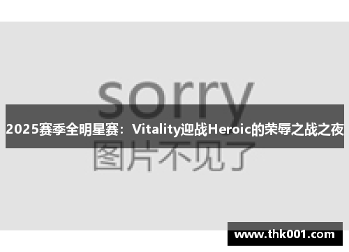 2025赛季全明星赛：Vitality迎战Heroic的荣辱之战之夜